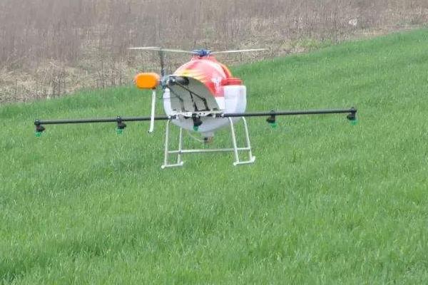 冬季麦田除草的最佳时间,小麦除野麦子最佳时间