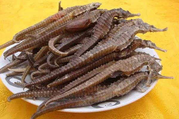 药材市场最缺什么药材,什么中药材缺口大