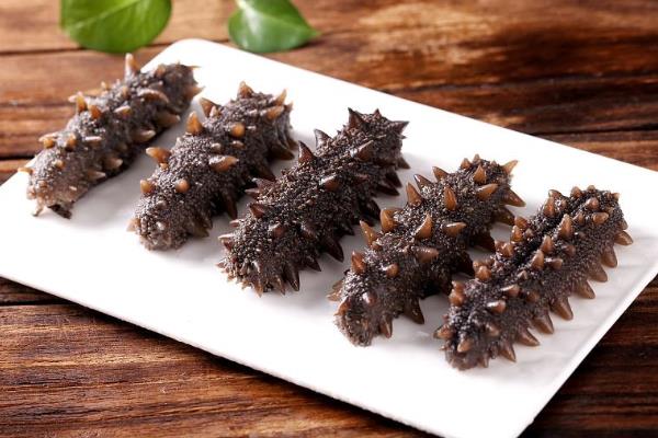 北极红参多少一斤?北极红参和海参的区别