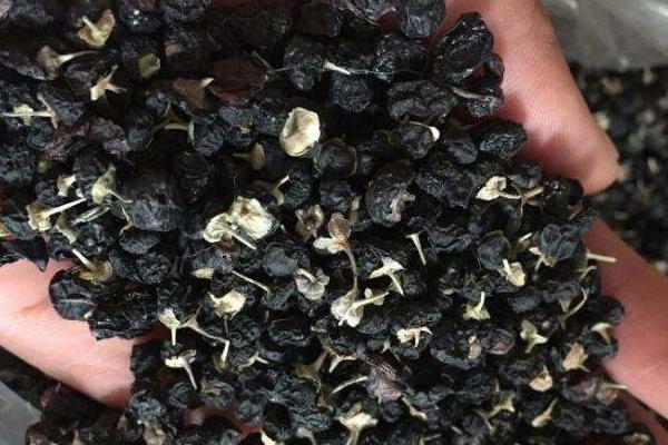 人工种植黑枸杞有害吗?种植黑枸杞和野生黑枸杞区别