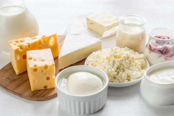 乳制品行业的发展现状,乳制品有哪些食物