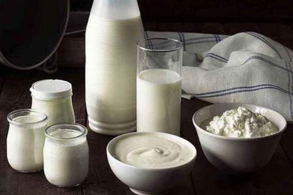 乳制品行业的发展现状,乳制品有哪些食物