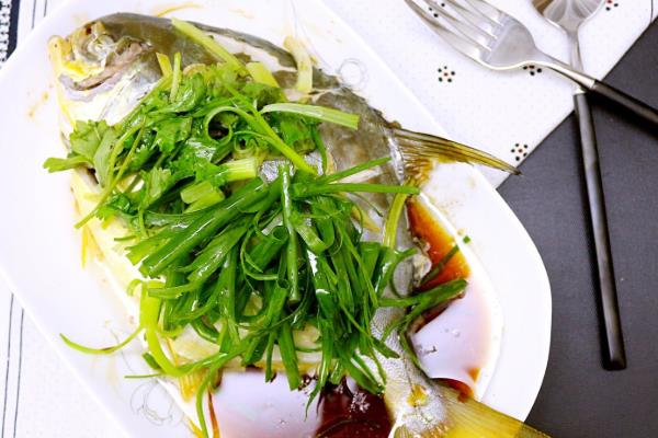 黄骨鱼养殖风险大吗?附养殖条件及技术和成本