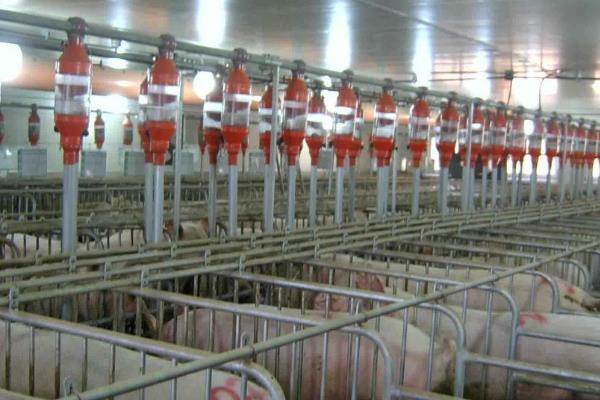 猪舍用什么取暖最经济,取暖设备有哪些?