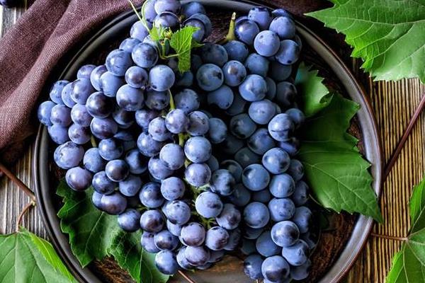 葡萄长毛了还能吃吗?怎么处理?