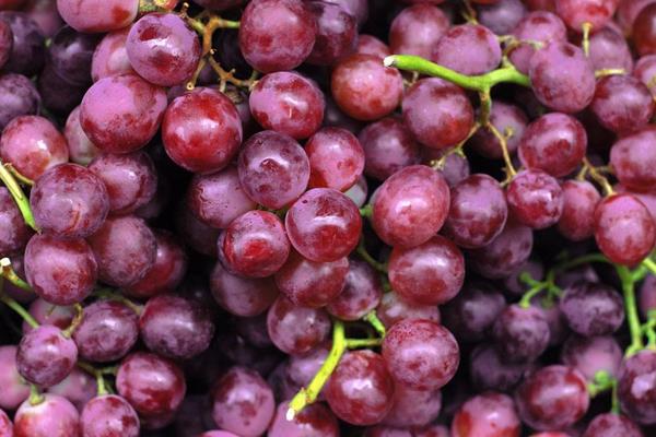 葡萄长毛了还能吃吗?怎么处理?