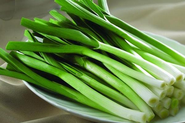 蒜苗的高度18天记录(含10天、14天)