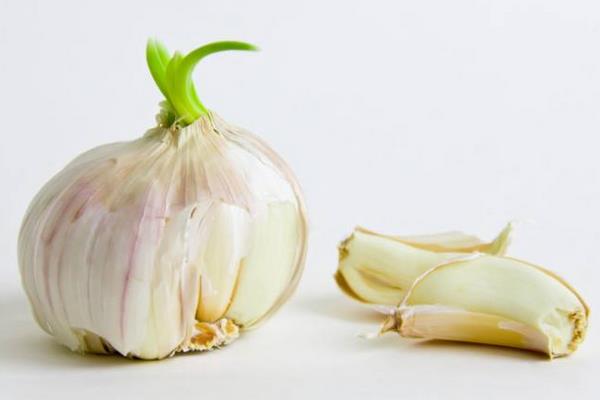 蒜长芽了还能生吃吗?还能用醋泡吗?