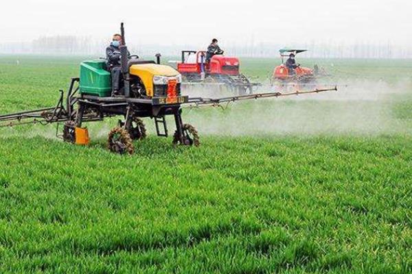 冬季麦田除草的最佳时间,小麦除野麦子最佳时间