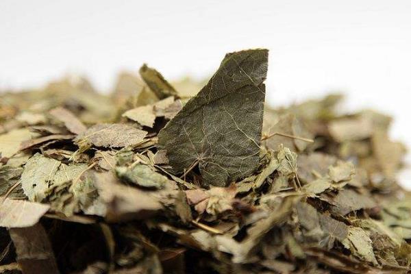 霪羊藿市场价多少?怎么吃效果更好?