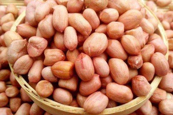 花生放了二年还能吃吗,生芽了还能生吃吗