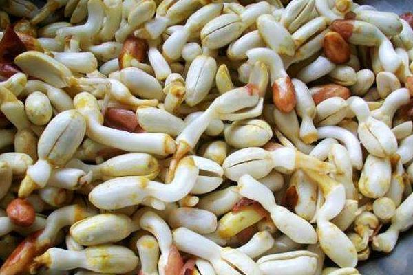 花生放了二年还能吃吗,生芽了还能生吃吗