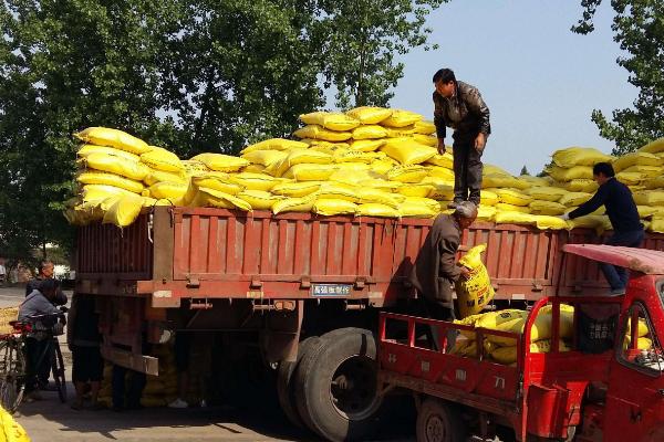 中国化肥销量前十名