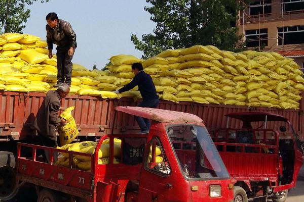 中国化肥销量前十名