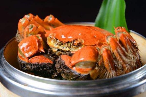 大闸蟹公的贵还是母的贵?为什么价格不一样?哪个更好吃?