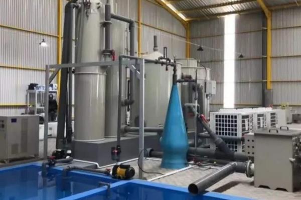 小型工厂化循环水养鱼成本,附循环水养鱼系统介绍