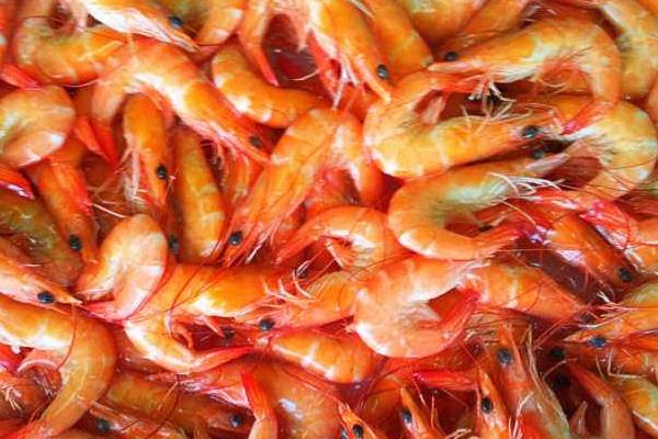 熟虾冷冻十天还能吃吗?熟了冷冻后可以保存多久?