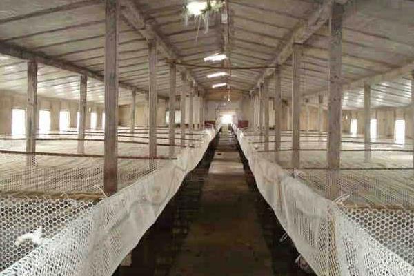 怎样建鸭棚最省钱?需要办理哪些手续证件