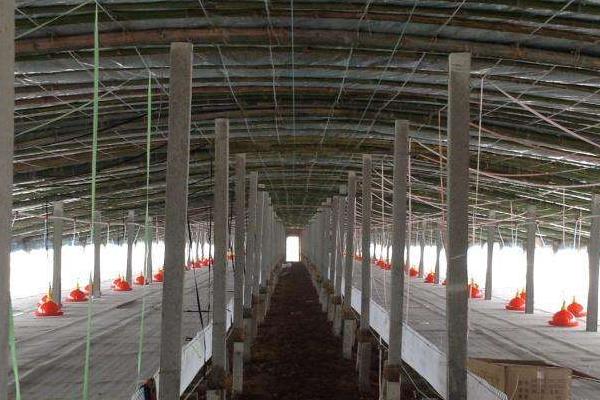 怎样建鸭棚最省钱?需要办理哪些手续证件