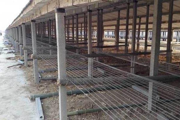 怎样建鸭棚最省钱?需要办理哪些手续证件