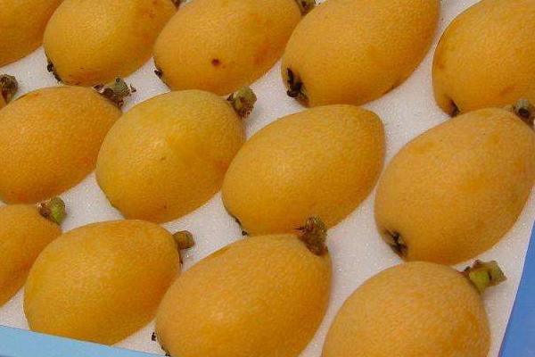 水果代销规则，都是怎么合作的，怎么赚取利润