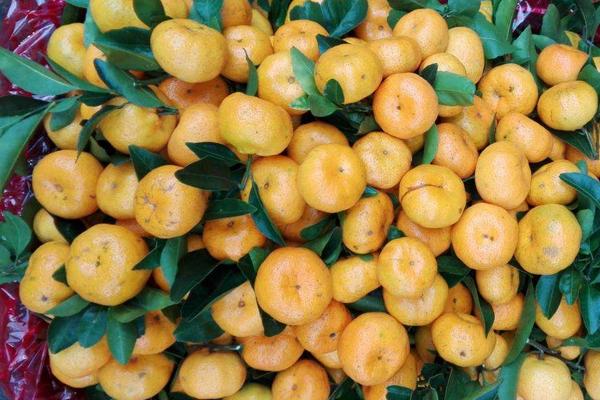 水果代销规则，都是怎么合作的，怎么赚取利润