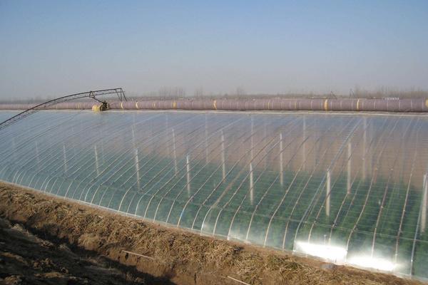 大棚薄膜怎么安装、固定、绷紧拉紧？