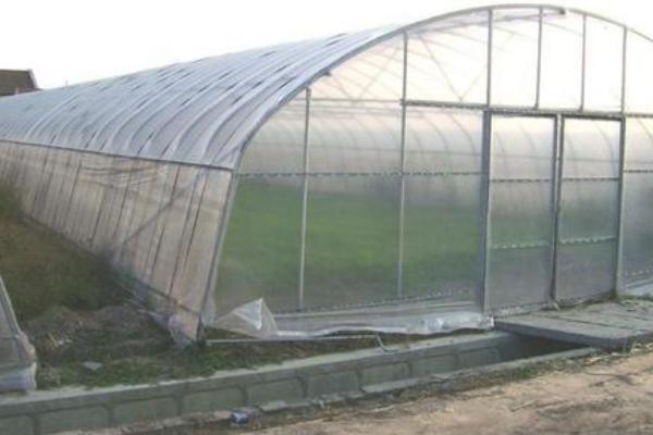 大棚薄膜怎么安装、固定、绷紧拉紧？