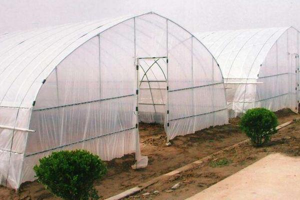 大棚薄膜怎么安装、固定、绷紧拉紧？