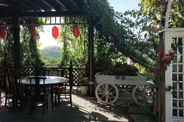 50亩农场规划，需要多少钱