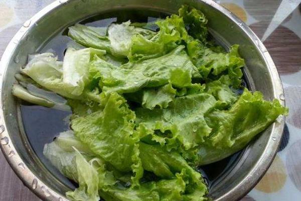 生菜打农药吗,吃前怎么洗怎么处理