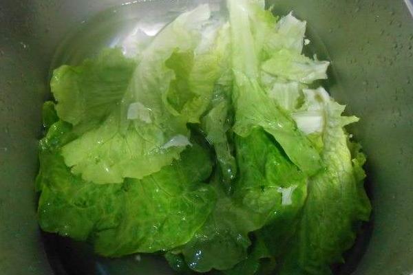 生菜打农药吗,吃前怎么洗怎么处理