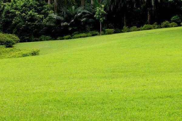 草坪人工费多钱一平米，人工工资怎么算