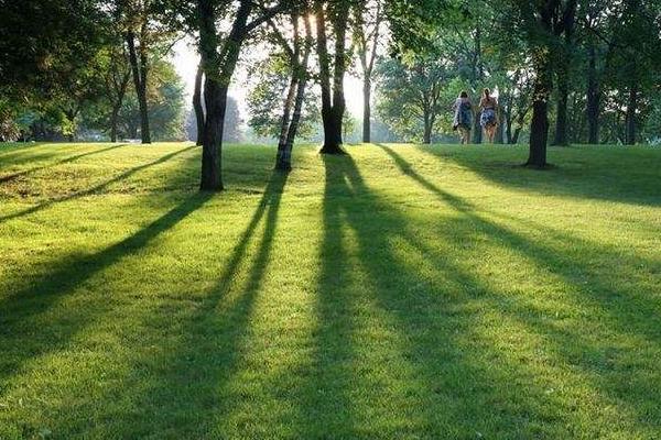 草坪人工费多钱一平米，人工工资怎么算