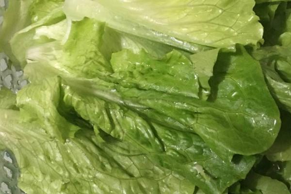 生菜打农药吗,吃前怎么洗怎么处理