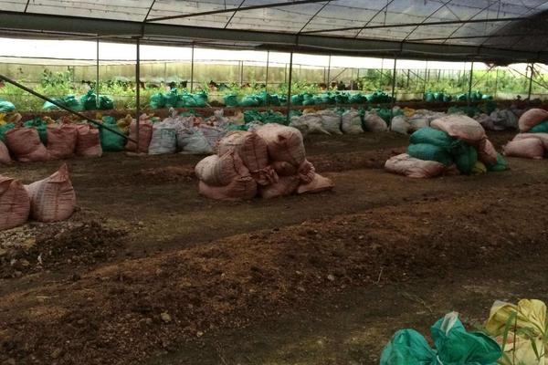 蚯蚓怎么养殖方法，用什么土