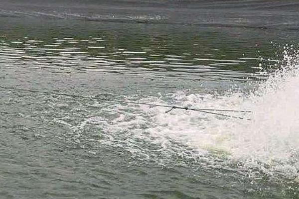 虾塘肥水最经济的方法,什么时间实施