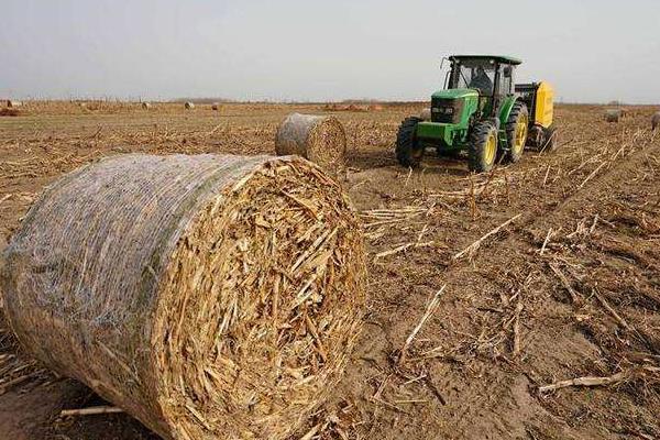 回收秸秆的生意怎么起步,能做吗?