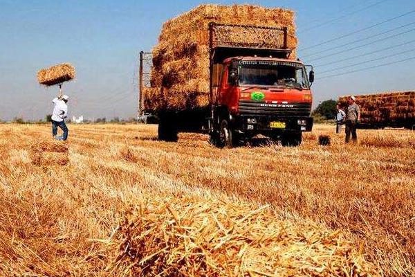 回收秸秆的生意怎么起步,能做吗?