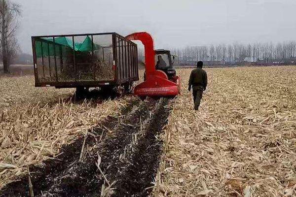 回收秸秆的生意怎么起步,能做吗?