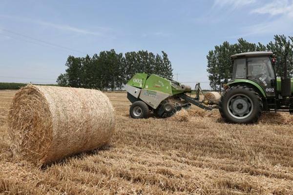 回收秸秆的生意怎么起步,能做吗?