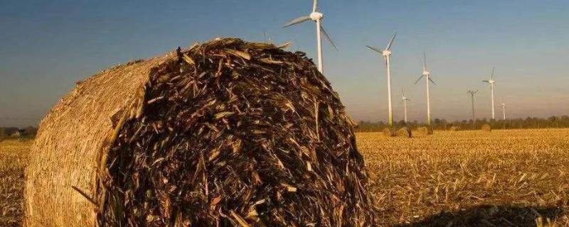 回收秸秆的生意怎么起步，能做吗？