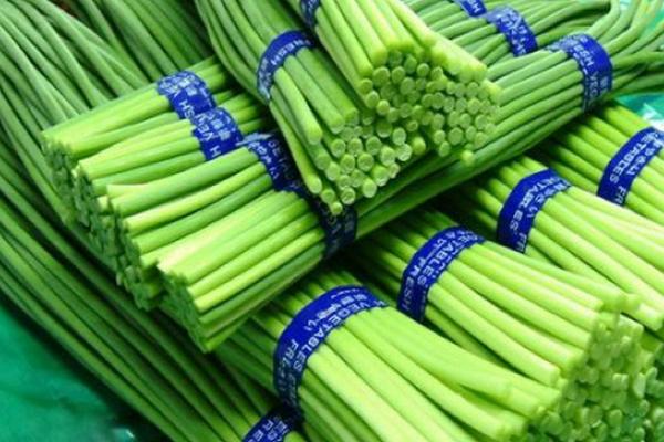 蒜苔苗能吃吗?蒜苔头上的花苞能吃吗?