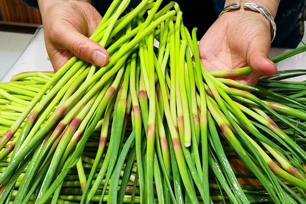 蒜苔苗能吃吗?蒜苔头上的花苞能吃吗?