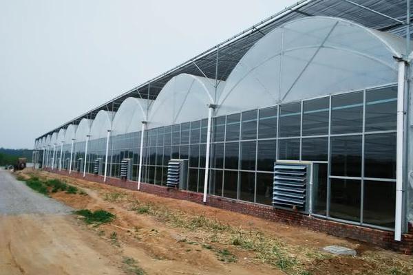 大棚降温最佳方案(常见方法),大棚降温剂有用吗?