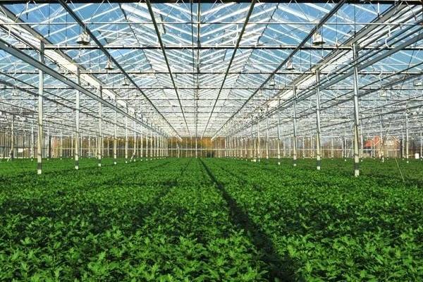 大棚降温最佳方案(常见方法),大棚降温剂有用吗?