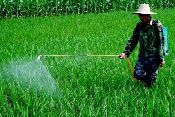 农药业务员一年挣多少?提成多少?好做吗?提成多少?