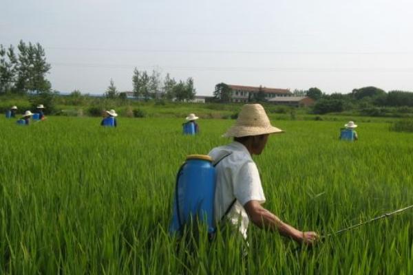 农药业务员一年挣多少?提成多少?好做吗?提成多少?