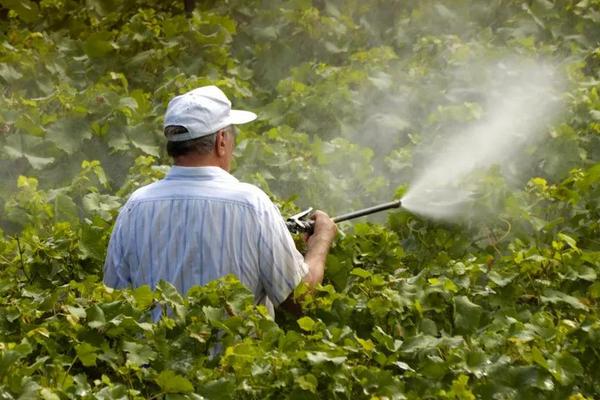 农药业务员一年挣多少?提成多少?好做吗?提成多少?