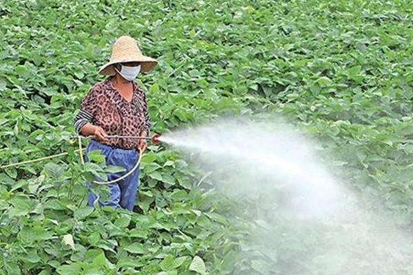 农药业务员一年挣多少?提成多少?好做吗?提成多少?